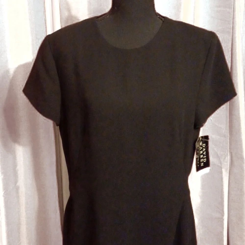 D11-👌- David Warren Black Dress - sz 12 women's - NWT - Picture 4 of 10